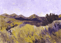 Acrylic painting by Peg at the Chihuahuan Desert Research Institute