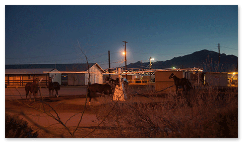 Sunland Park Racetrack