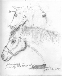 Well, Peg, it's not bad. Keep trying.