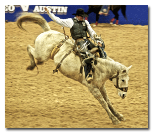 Austin Rodeo