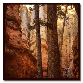 Bryce Canyon National Park