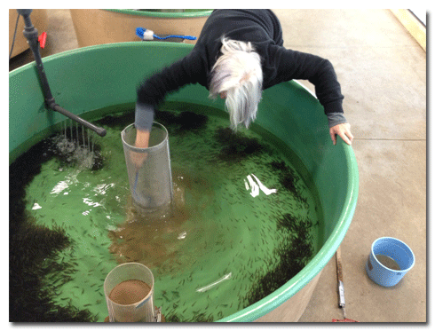 Green Lake Fish Hatchery