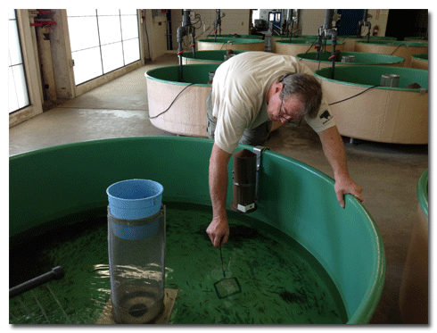 Green Lake Fish Hatchery