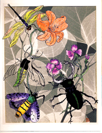 Insects drawn from an old manuscript - prismacolor pencils, black ink layered with a mammogram of leaves