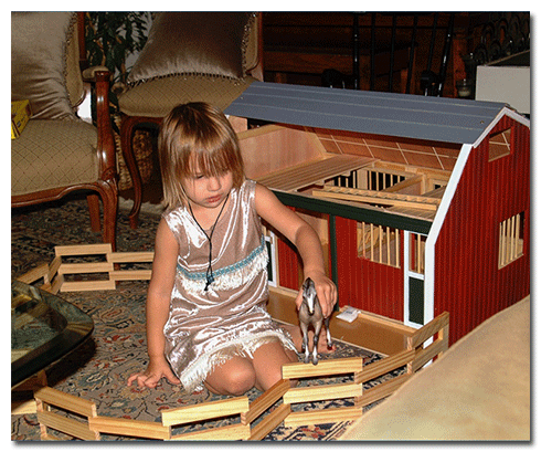 make set-ups and playing out elaborate stories with her Breyer horses