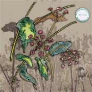 Colored Pencil by Peg