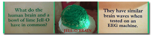 Jell-O Brain
