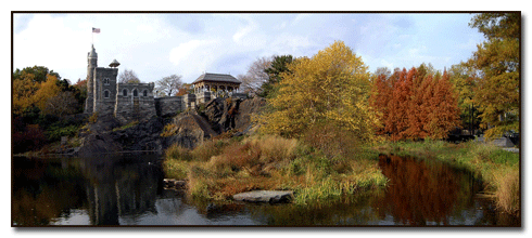 Across the Turtle Pond to the Castle