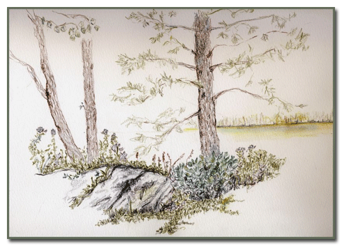 From the other side of the Turtle Pond on the path leading up to the castle.