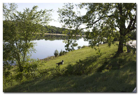 Army Crops of Engineers site on the Red River in Texas