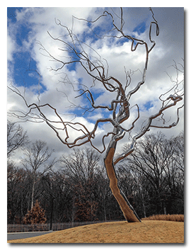 Crystal Bridges Museum of American Art
