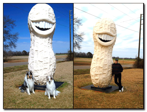 Plains Georgia Jimmy Peanut