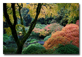 Japanese Gardens in Portland, Oregon