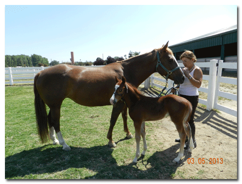 Sally, Beth and 3½ week old Leroy