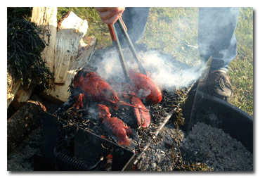 Winnebago Woodfire