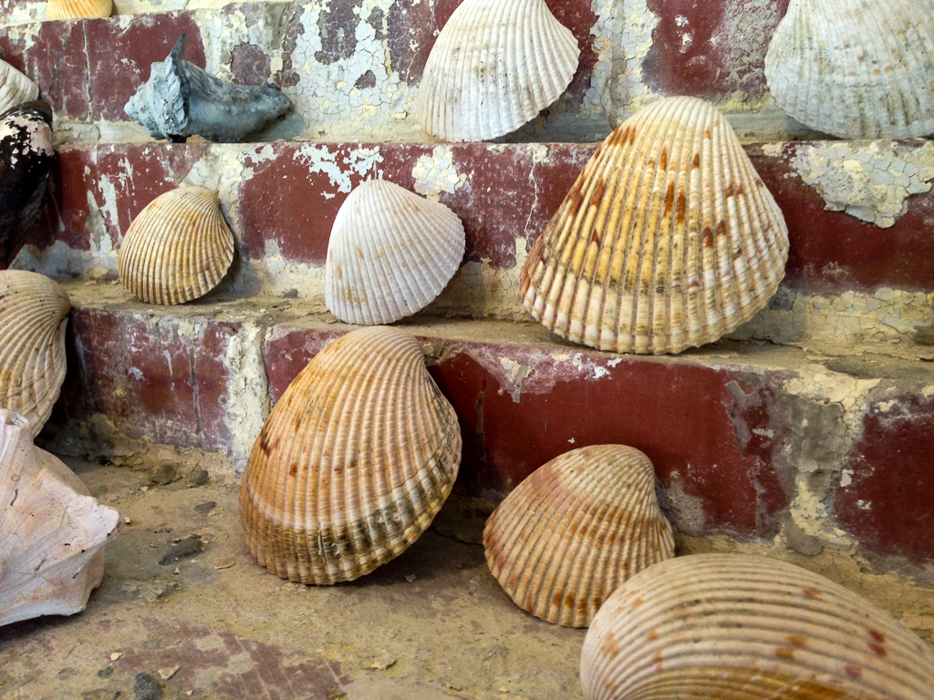 An indoor cairn of seashells
