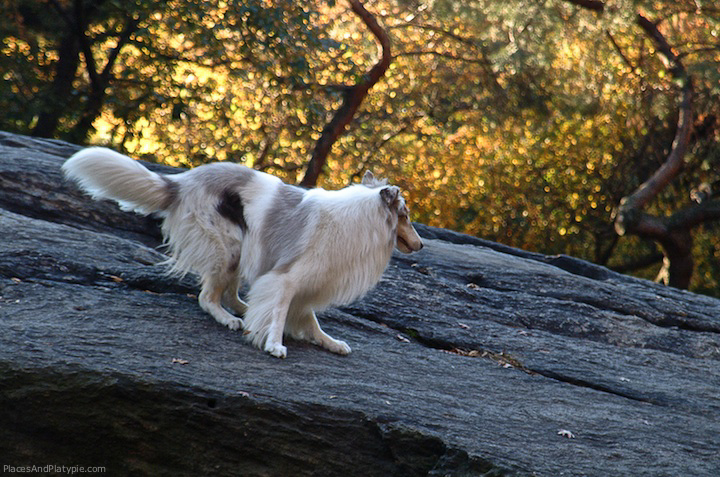 Frida goes to save Timmy.