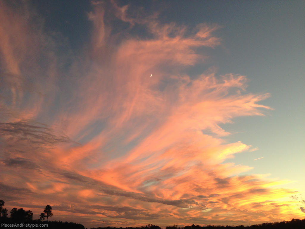 Sunset and Moonrise: Yesterday Evening at Blackwater National Wildlife Refuge