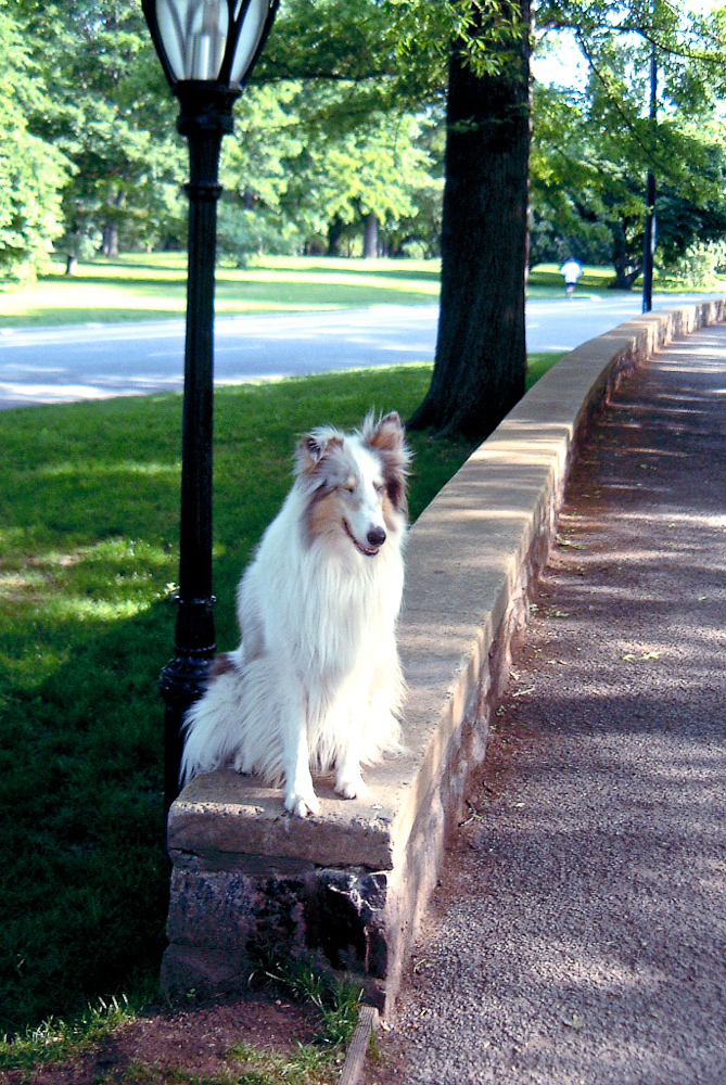 More than anything, she loved to walk in Central Park. Her big trick was to walk this wall. Towards the end of her life she was almost totally blind, so it was a pretty good trick