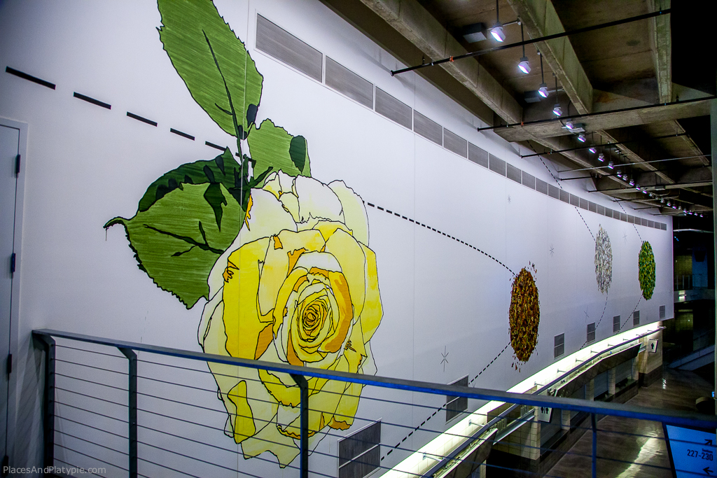 Dave Muller
Solar Arrangement (2009)
Acrylic on wall
Approximately 21 feet by 131 feet
Located in Main Concourse, NW Concession Area