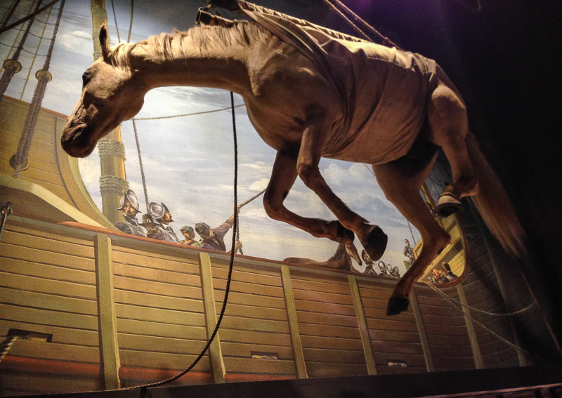 The museum has a circular walkway through exhibits that tell the history of horse and man. The taxidermy is really excellent…almost too good - the horses seem still alive.