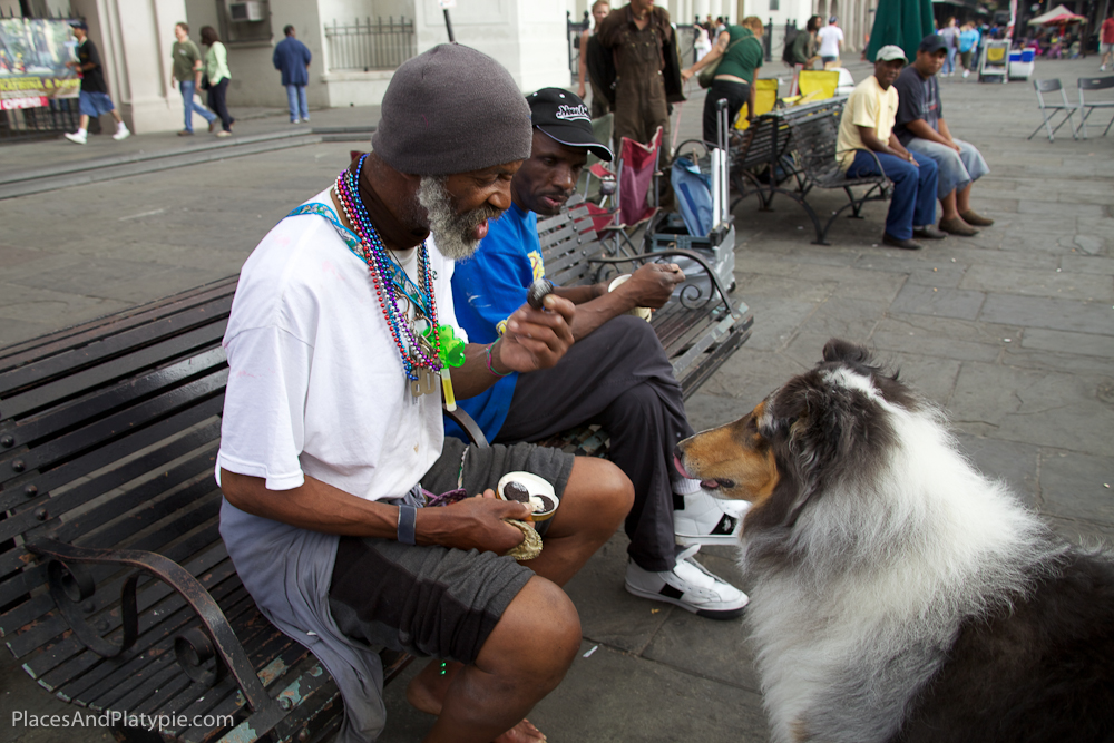 Jackson Square... OK, 1 Oreo Cookie. (I'm hoping there is no real chocolate in it.)