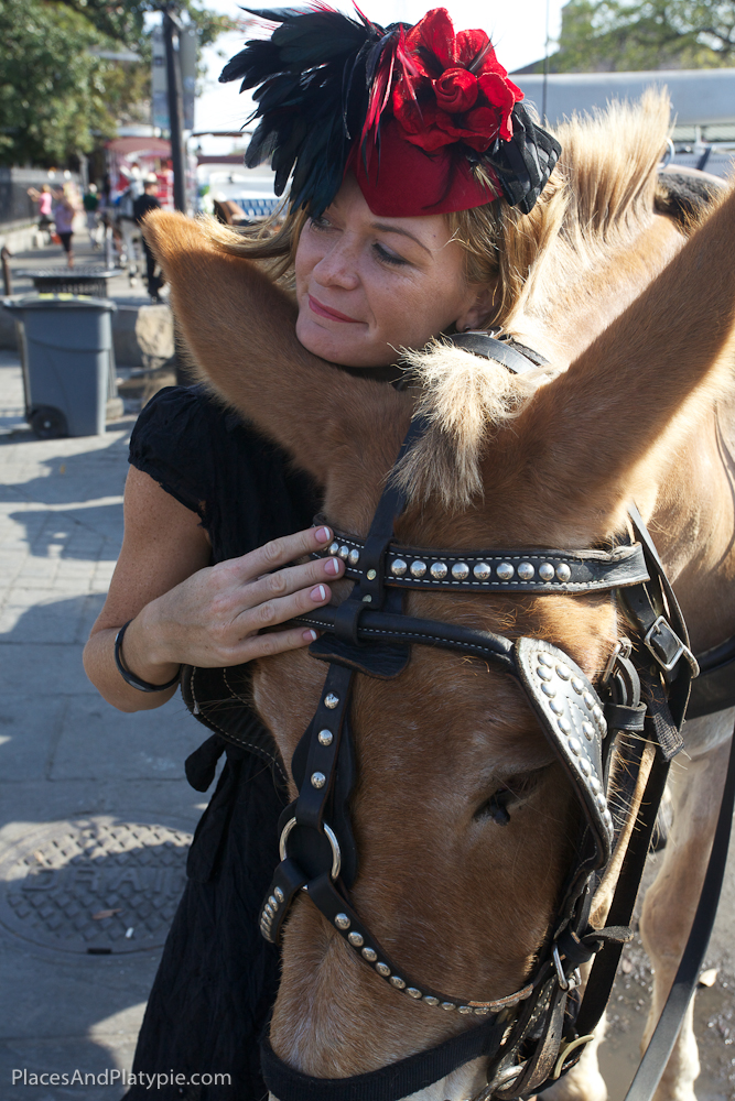 Mules - and the girls who love them -  Part 2