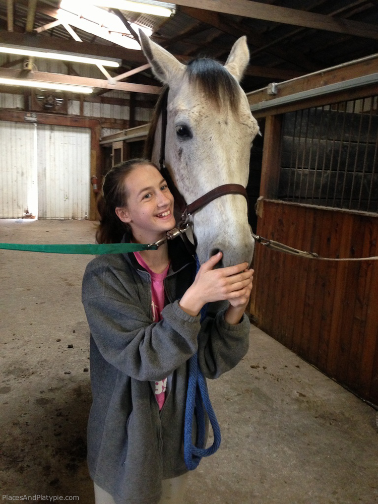 Three thousand miles we have driven ... We left the horse ranch in California and now find ourselves at a horse barn in Maryland. One week from today we start working at the fish hatchery in Maine.