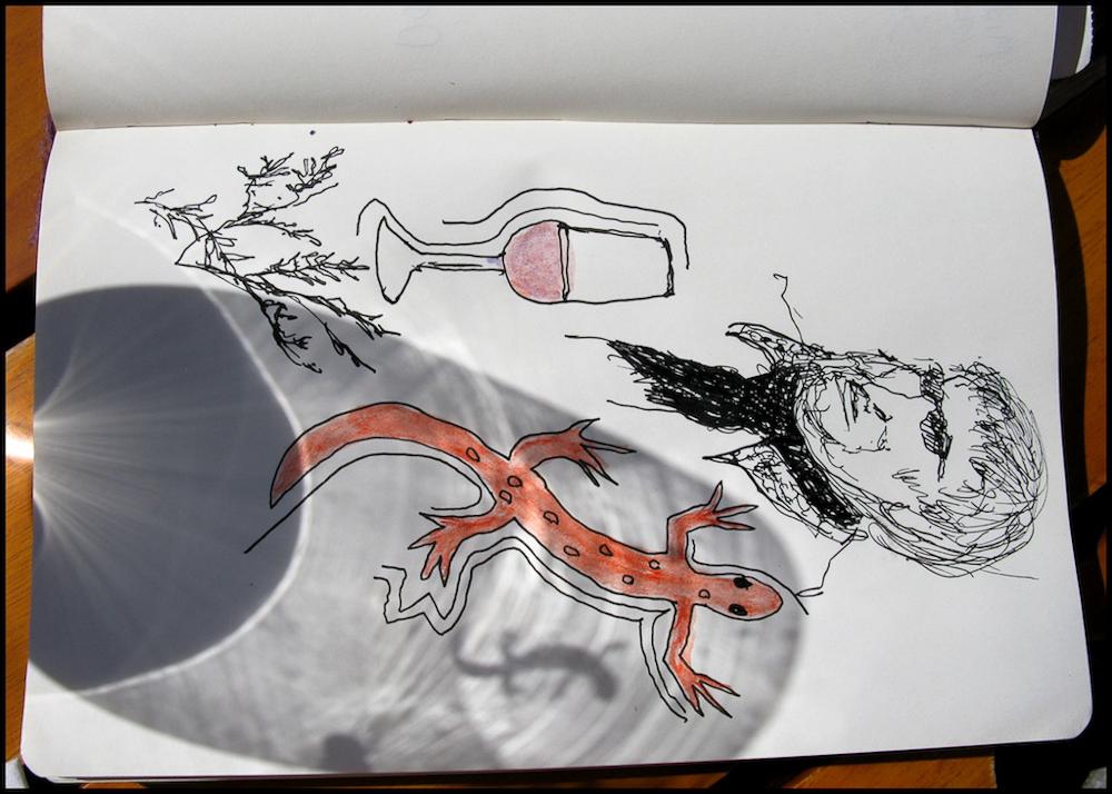 A sketch while we wait for our wonderful lunch with several different wines.