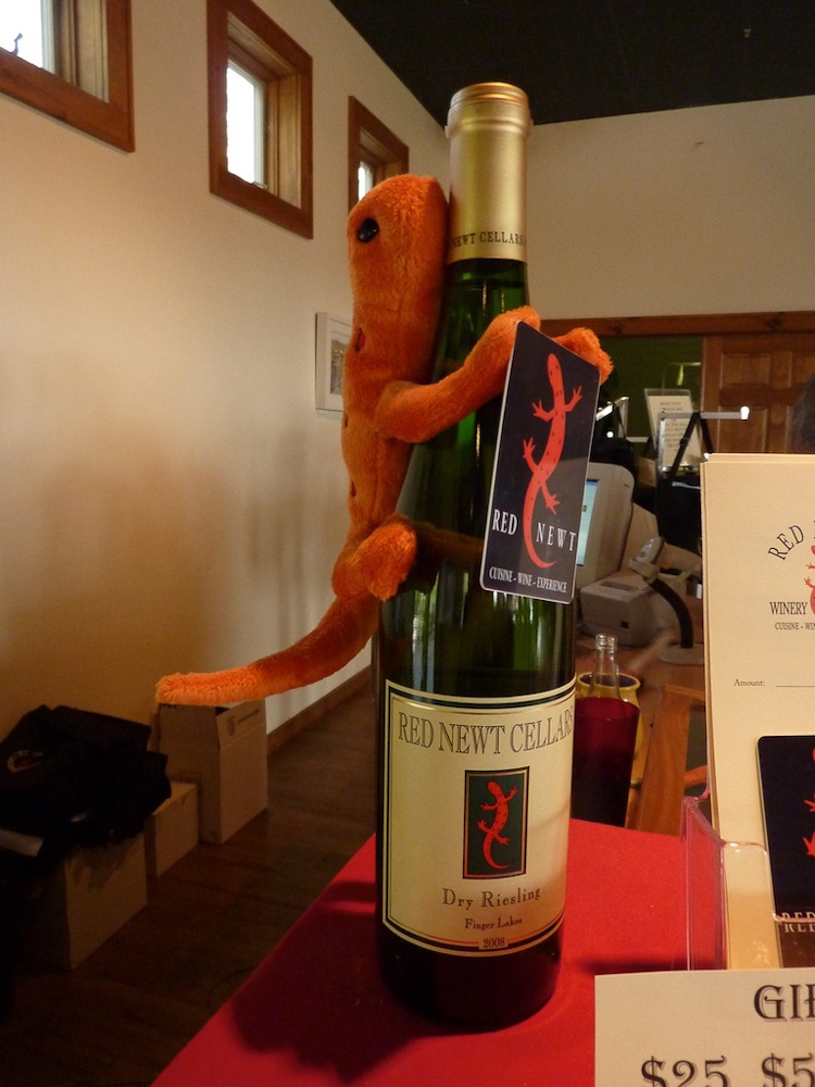 Creatures in the wine-tasting room…Normally we don't like Riesling, but this was really good.