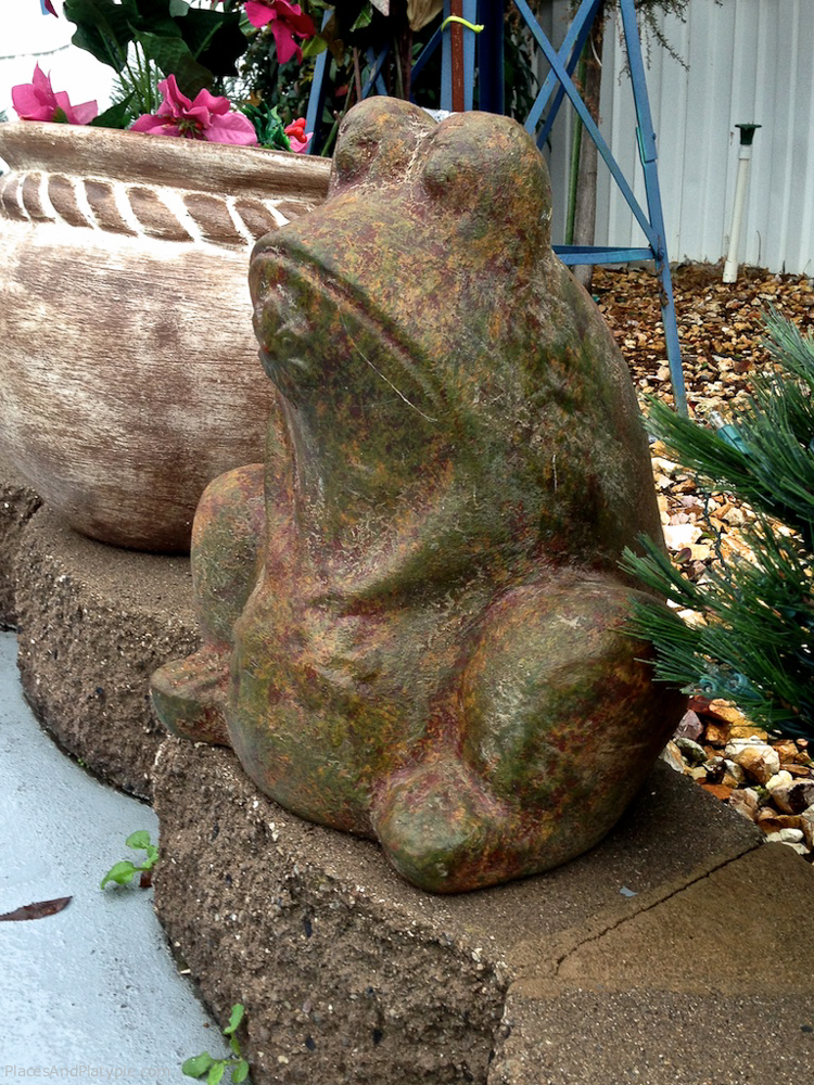 Easter Island Frog