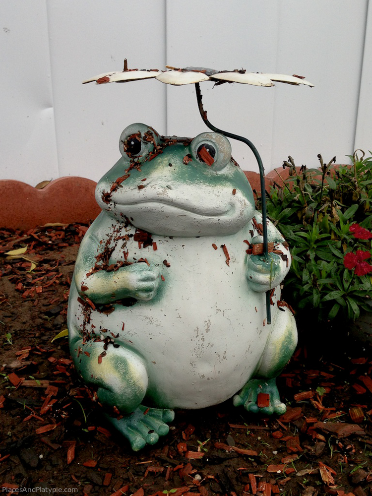 Froggy Poppins