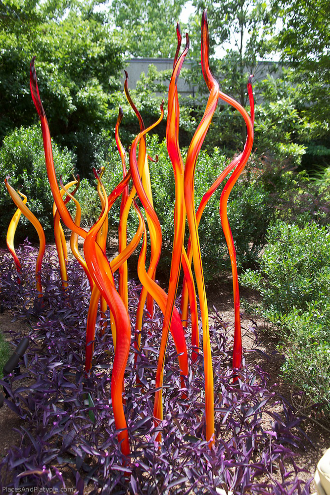 Most recently, while passing through Nashville, we visited the Cheekwood Art Museum and Botanical Garden where Chihuly pieces were on display everywhere.
