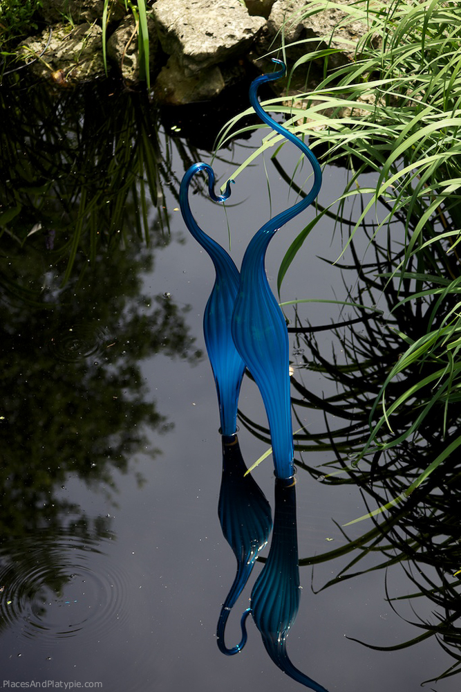 Cheekwood - Nasville, TN: Birdlike forms reflected in a pool near the main gallery.