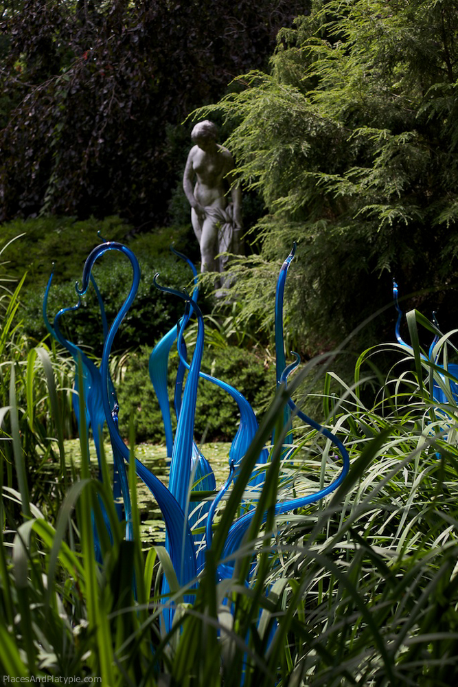 Cheekwood - Nasville, TN: More birdlike forms in a formal pool.