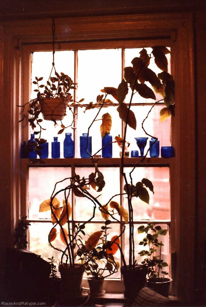 New York City: Thirty years ago, my friend Sukey filled her windows overlooking West End Avenue at 85th with old blue glass bottles.