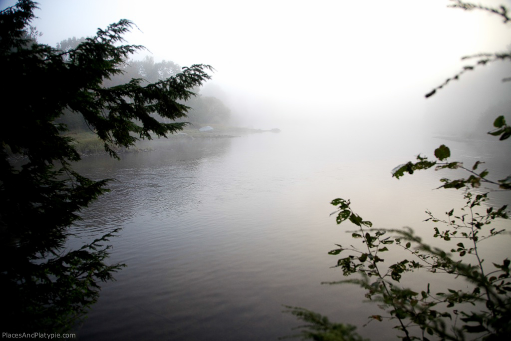 There were three unphotographable eagles flying about in the mist...