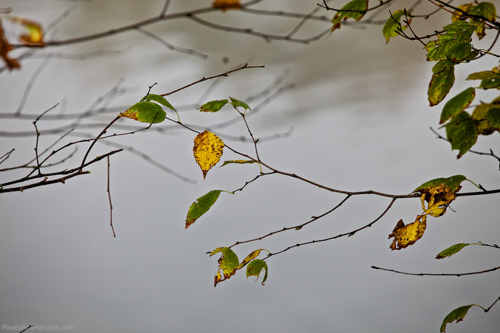 Looking towards the creek, our summer is over