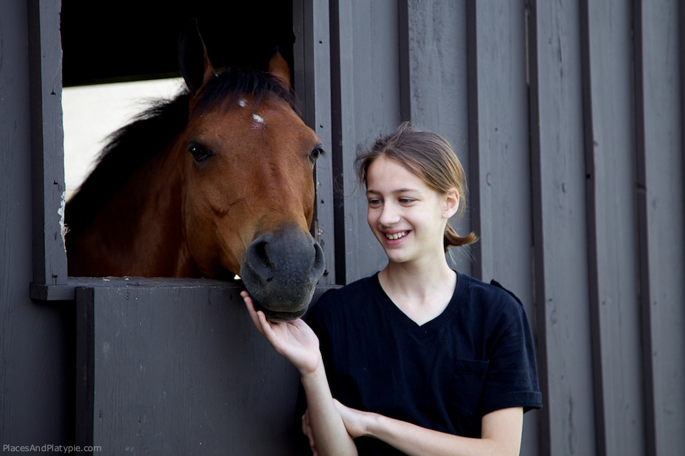 IMG_7162 - Version 2