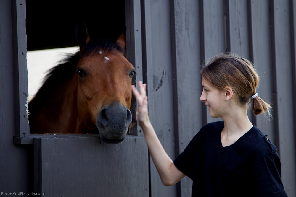 IMG_7163 - Version 2