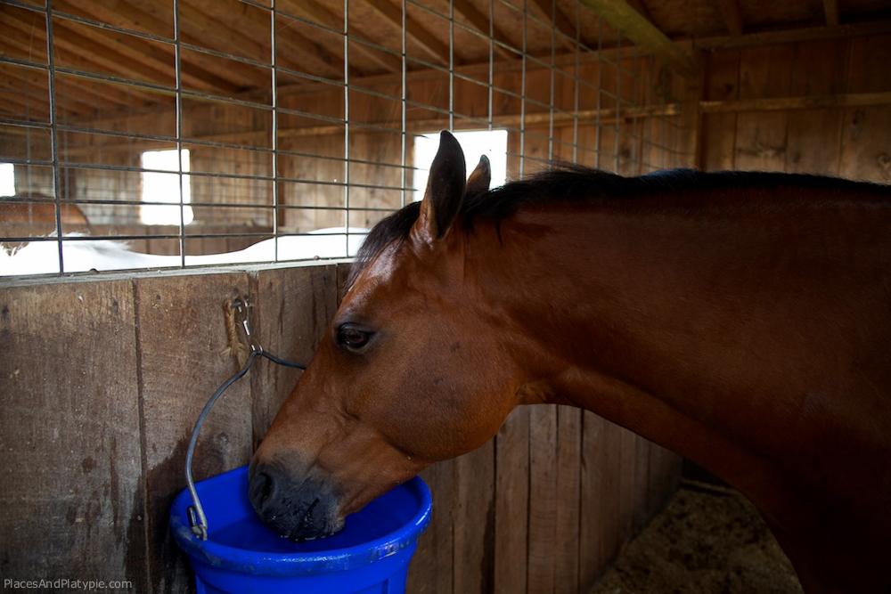 IMG_7166 - Version 2