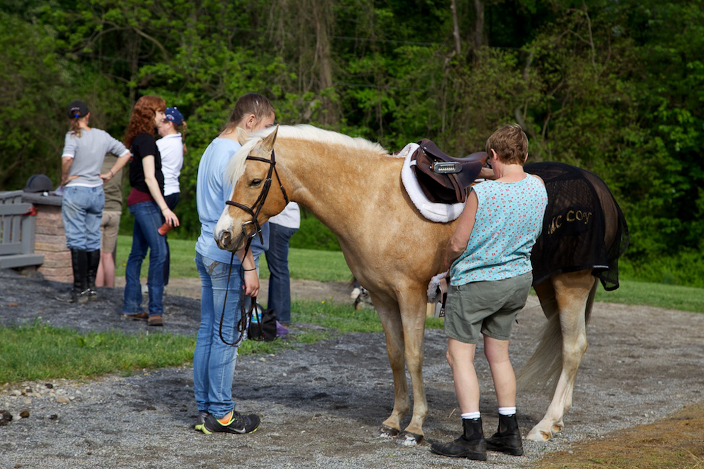 IMG_7169 - Version 2