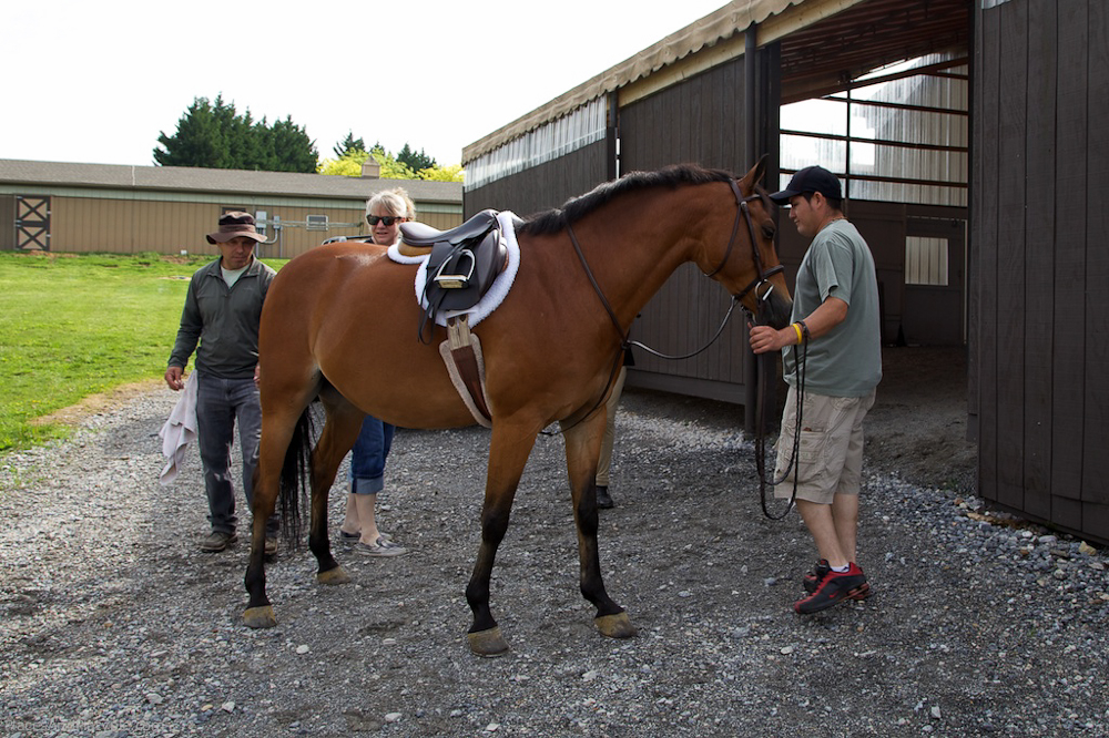 IMG_7170 - Version 2