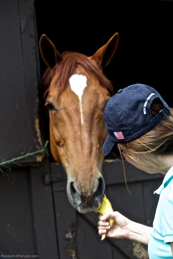 IMG_7226 - Version 2