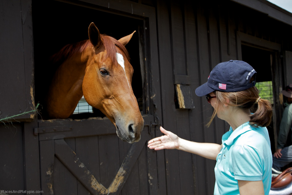 IMG_7231 - Version 2