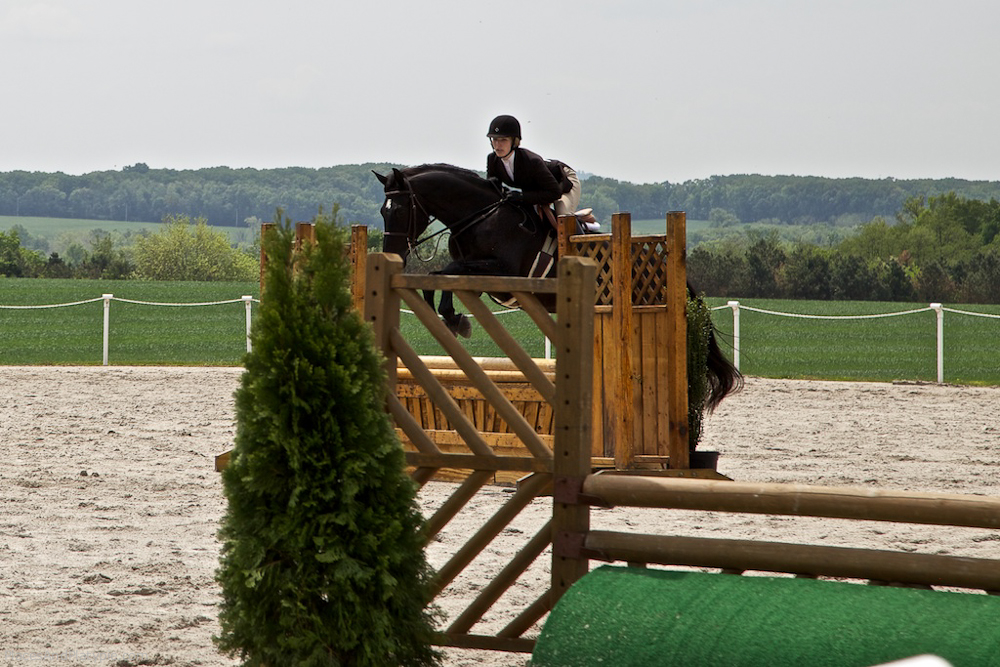 IMG_7263 - Version 2