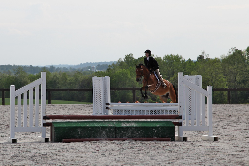 IMG_7332 - Version 3