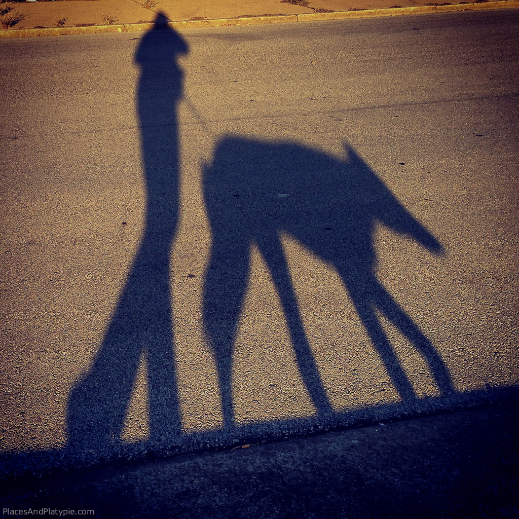 Shadow selfie walking Sully