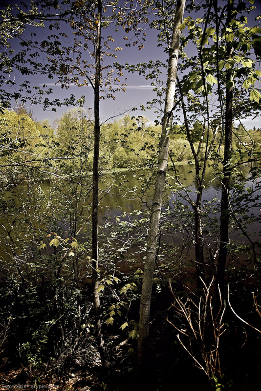 Pond outside the hatchery