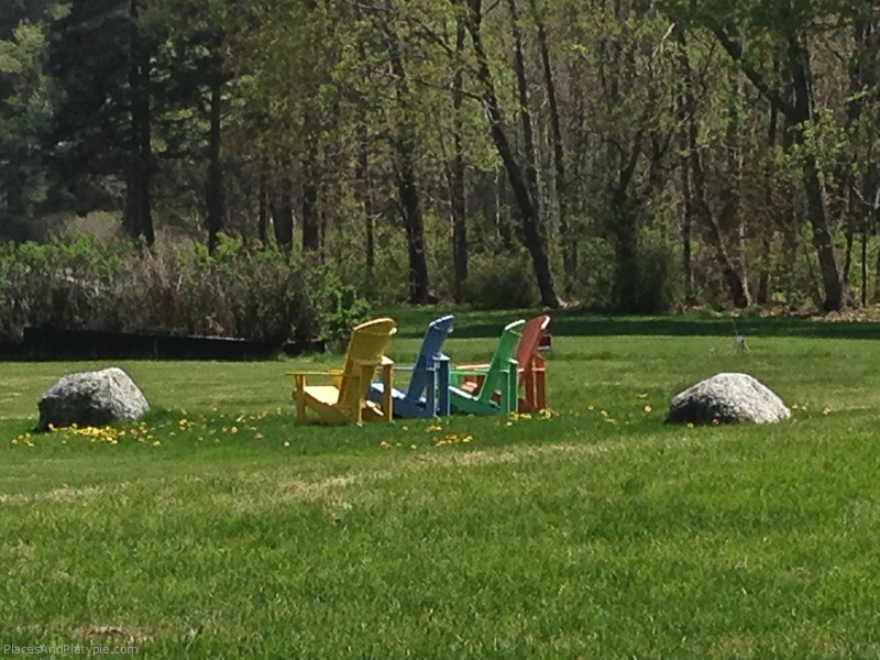Lawn chairs near the woods in Bar Harbor